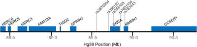 Genetic Elements at the Alpha-Synuclein Locus